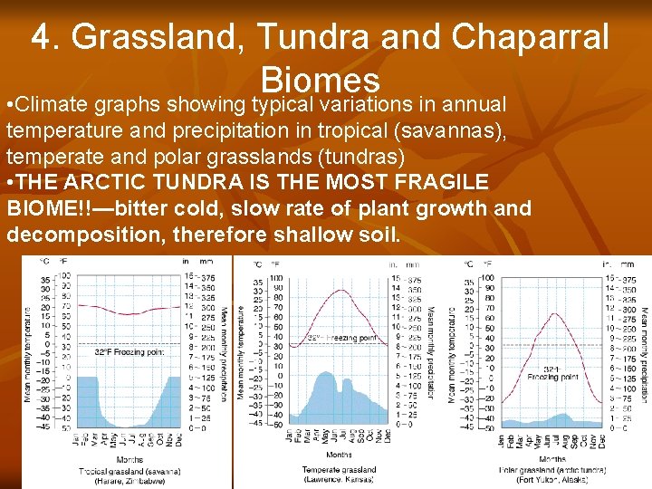 4. Grassland, Tundra and Chaparral Biomes • Climate graphs showing typical variations in annual