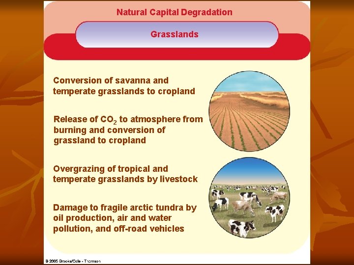 Natural Capital Degradation Grasslands Conversion of savanna and temperate grasslands to cropland Release of
