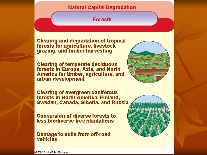 Natural Capital Degradation Forests Clearing and degradation of tropical forests for agriculture, livestock grazing,