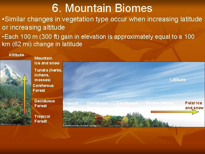 6. Mountain Biomes • Similar changes in vegetation type occur when increasing latitude or