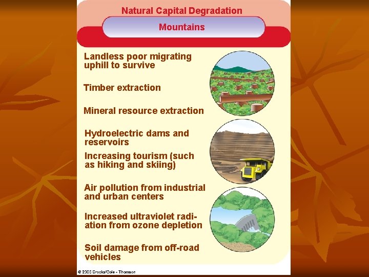 Natural Capital Degradation Mountains Landless poor migrating uphill to survive Timber extraction Mineral resource