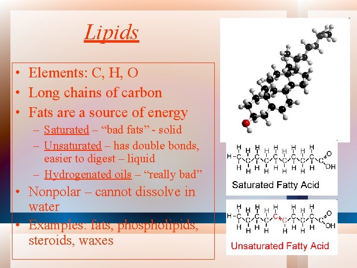 Lipids • Elements: C, H, O • Long chains of carbon • Fats are