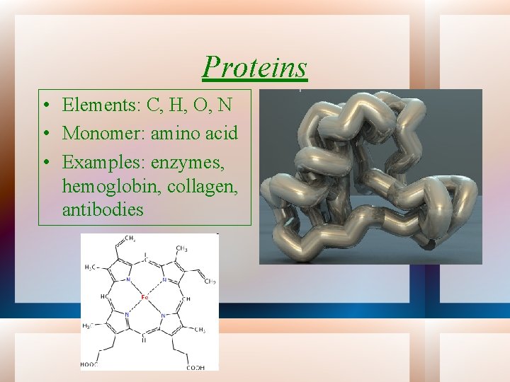 Proteins • Elements: C, H, O, N • Monomer: amino acid • Examples: enzymes,