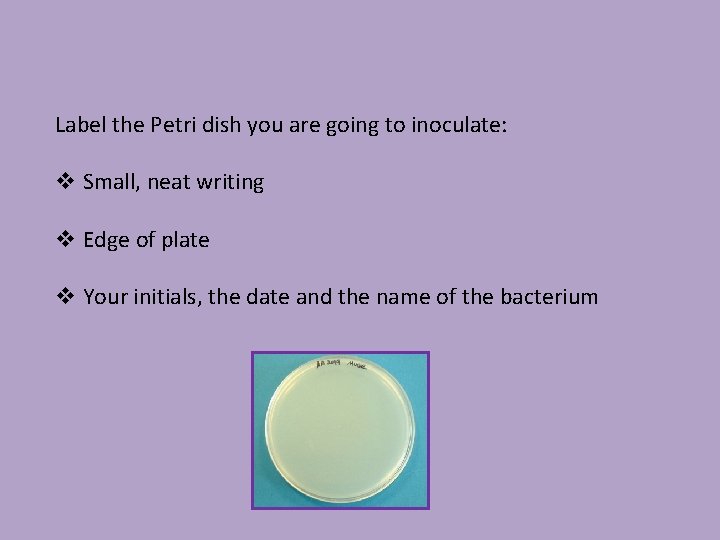 Label the Petri dish you are going to inoculate: v Small, neat writing v