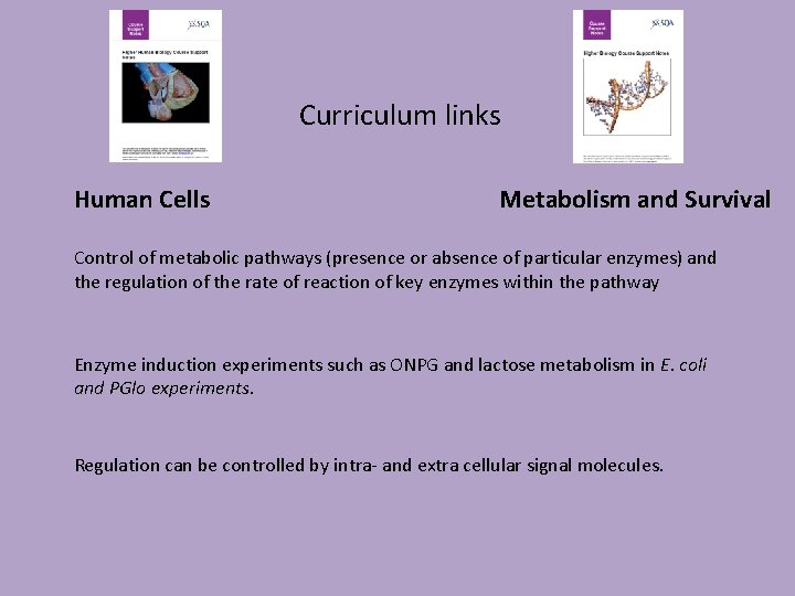 Curriculum links Human Cells Metabolism and Survival Control of metabolic pathways (presence or absence