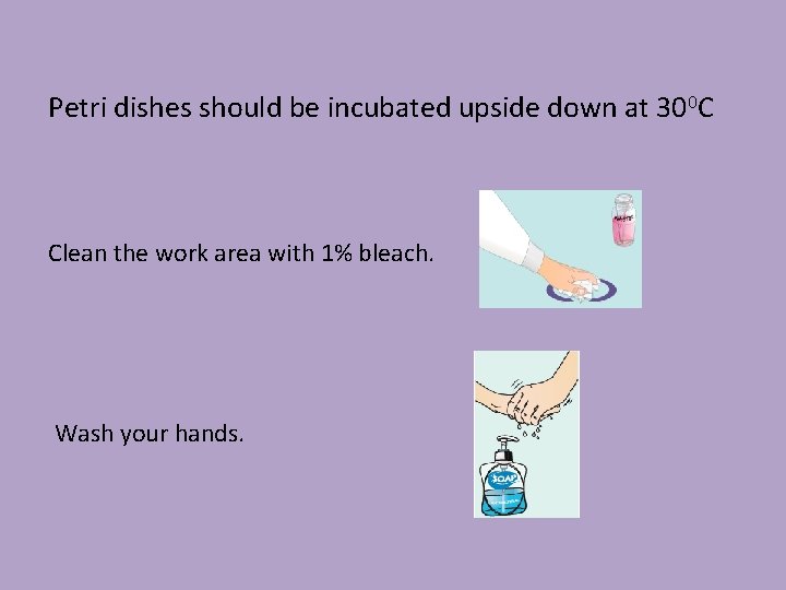 Petri dishes should be incubated upside down at 300 C Clean the work area