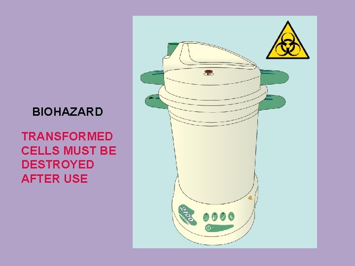 BIOHAZARD TRANSFORMED CELLS MUST BE DESTROYED AFTER USE 