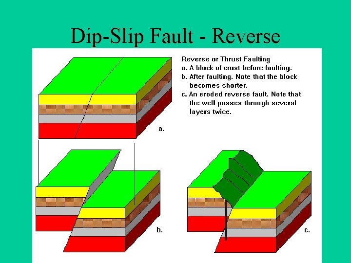 Dip-Slip Fault - Reverse 