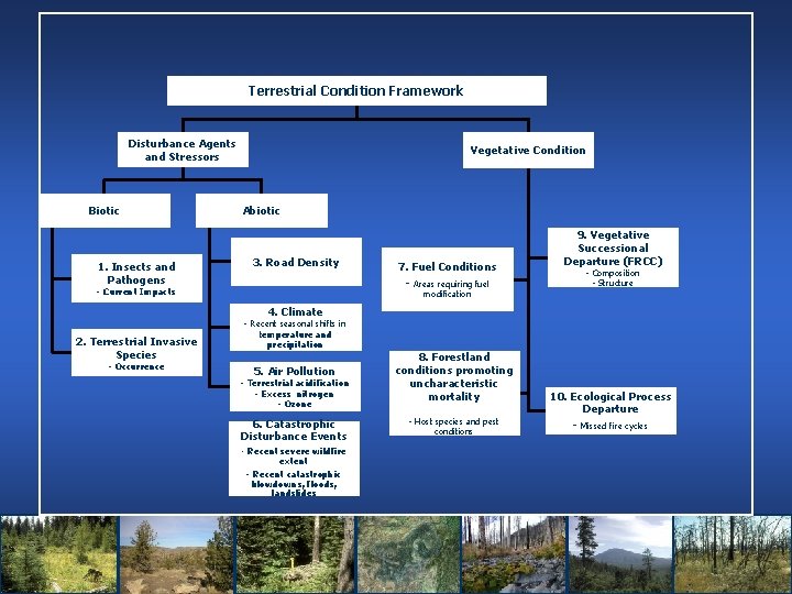 Terrestrial Condition Framework Disturbance Agents and Stressors Biotic Vegetative Condition Abiotic 3. Road Density