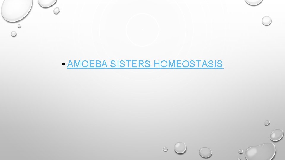 • AMOEBA SISTERS HOMEOSTASIS • AMOEBA SISTERS HOMEOSTASIS