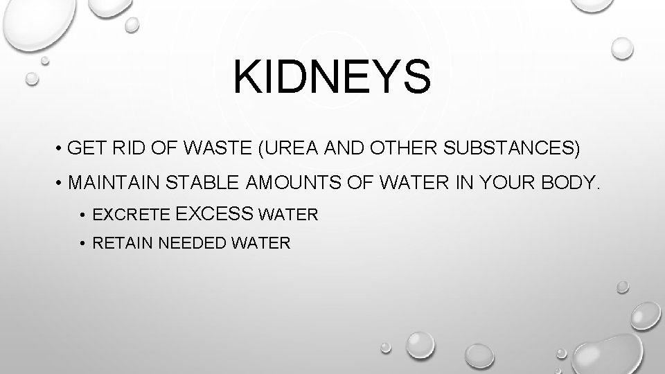 KIDNEYS • GET RID OF WASTE (UREA AND OTHER SUBSTANCES) • MAINTAIN STABLE AMOUNTS KIDNEYS • GET RID OF WASTE (UREA AND OTHER SUBSTANCES) • MAINTAIN STABLE AMOUNTS