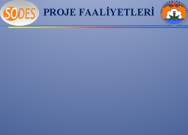 PROJE FAALİYETLERİ 