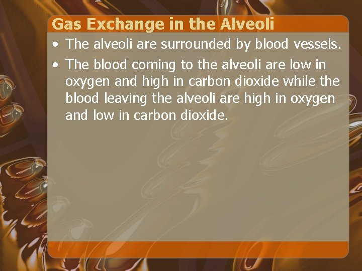 Gas Exchange in the Alveoli • The alveoli are surrounded by blood vessels. •