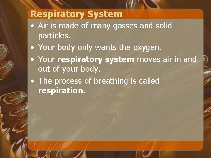 Respiratory System • Air is made of many gasses and solid particles. • Your