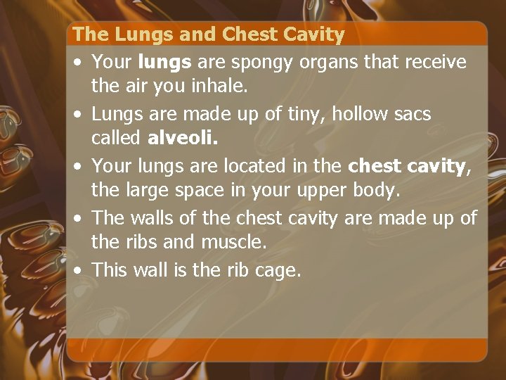 The Lungs and Chest Cavity • Your lungs are spongy organs that receive the