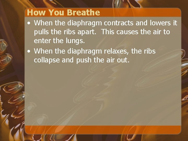 How You Breathe • When the diaphragm contracts and lowers it pulls the ribs