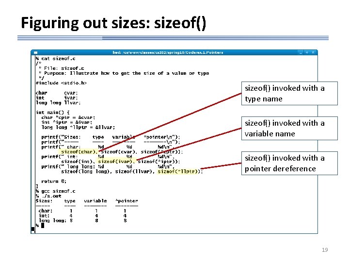 Figuring out sizes: sizeof() invoked with a type name sizeof() invoked with a variable