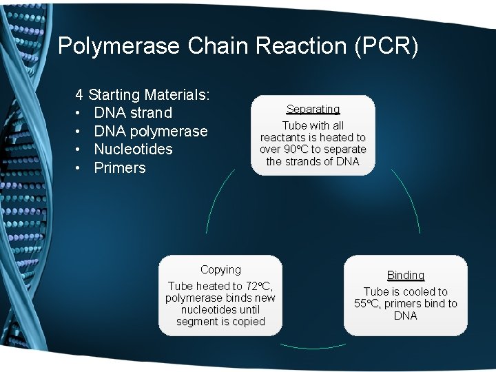 Polymerase Chain Reaction (PCR) 4 Starting Materials: • DNA strand • DNA polymerase •