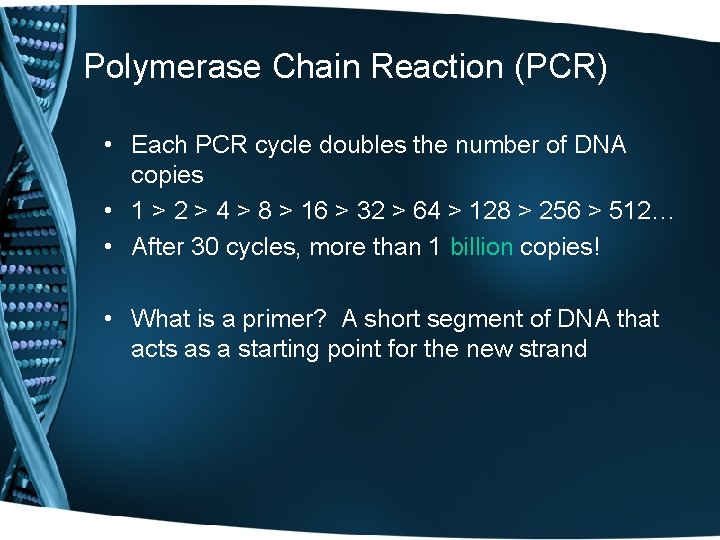 Polymerase Chain Reaction (PCR) • Each PCR cycle doubles the number of DNA copies