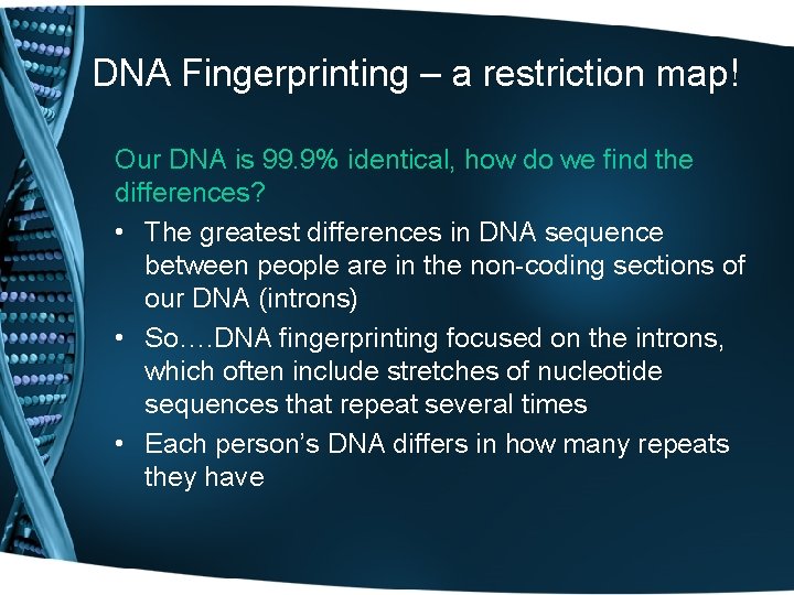 DNA Fingerprinting – a restriction map! Our DNA is 99. 9% identical, how do