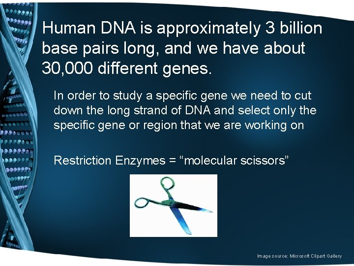 Human DNA is approximately 3 billion base pairs long, and we have about 30,
