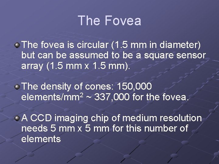 The Fovea The fovea is circular (1. 5 mm in diameter) but can be