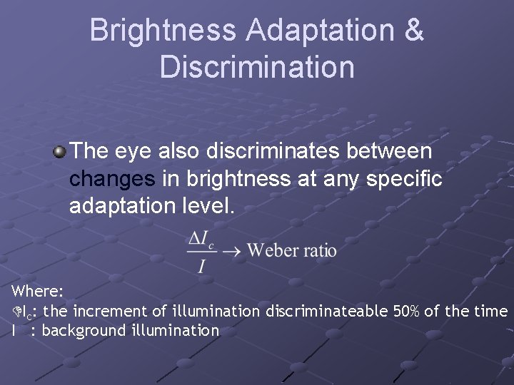 Brightness Adaptation & Discrimination The eye also discriminates between changes in brightness at any