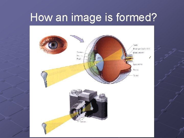 How an image is formed? 