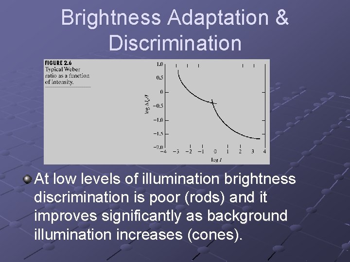 Brightness Adaptation & Discrimination At low levels of illumination brightness discrimination is poor (rods)