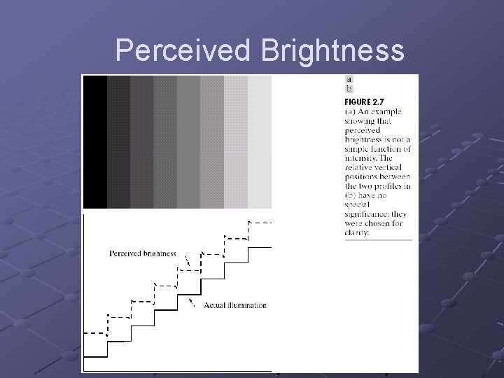Perceived Brightness 