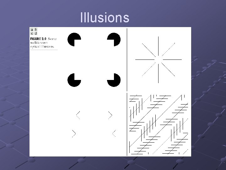 Illusions 