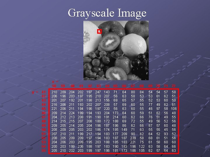 Grayscale Image x = 58 59 y = 41 42 43 44 45 46