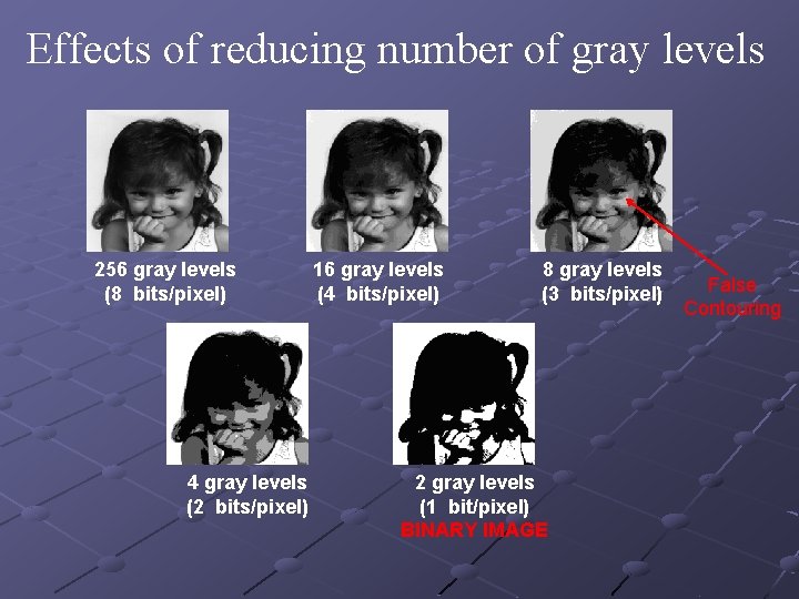 Effects of reducing number of gray levels 256 gray levels (8 bits/pixel) 4 gray