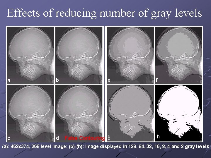 Effects of reducing number of gray levels a b e c d False Contouring