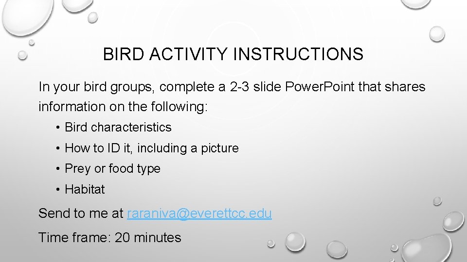 BIRD ACTIVITY INSTRUCTIONS In your bird groups, complete a 2 -3 slide Power. Point