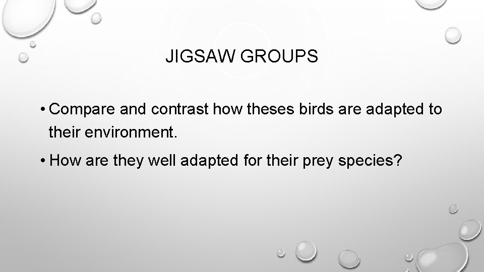 JIGSAW GROUPS • Compare and contrast how theses birds are adapted to their environment.