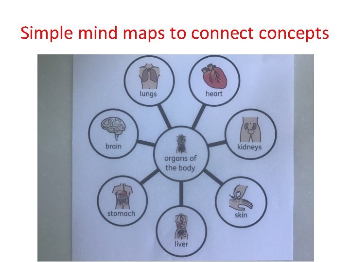 Simple mind maps to connect concepts 