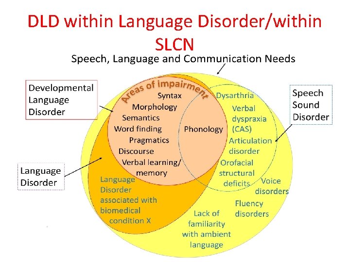 DLD within Language Disorder/within SLCN 