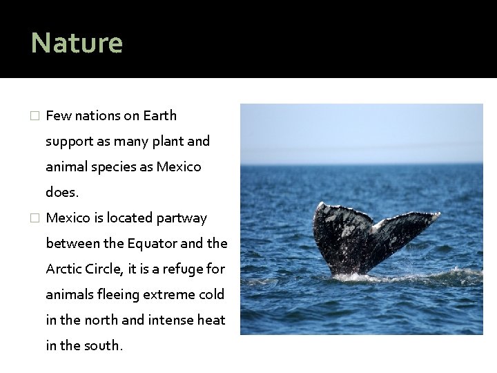 Nature � Few nations on Earth support as many plant and animal species as