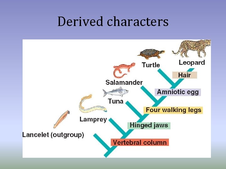 Derived characters 