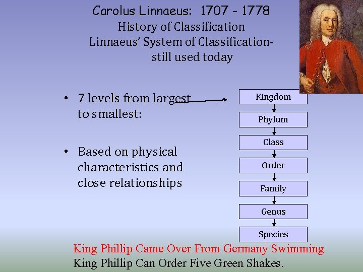 Carolus Linnaeus: 1707 - 1778 History of Classification Linnaeus’ System of Classificationstill used today