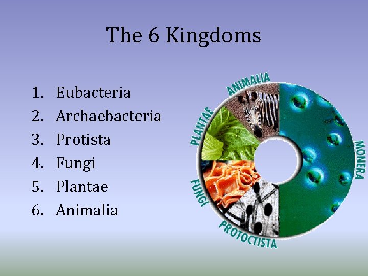 The 6 Kingdoms 1. 2. 3. 4. 5. 6. Eubacteria Archaebacteria Protista Fungi Plantae