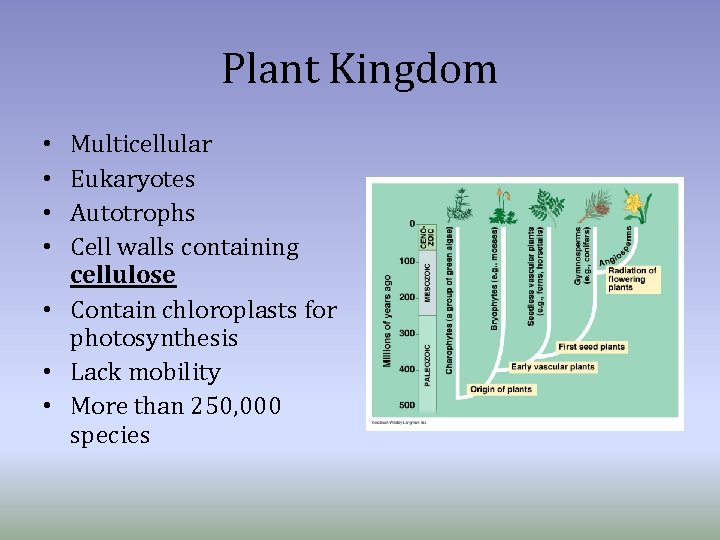 Plant Kingdom Multicellular Eukaryotes Autotrophs Cell walls containing cellulose • Contain chloroplasts for photosynthesis