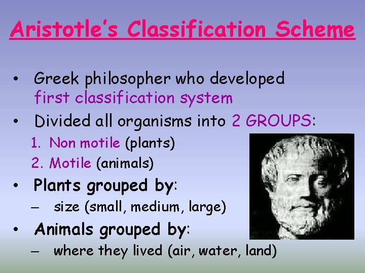 Aristotle’s Classification Scheme • Greek philosopher who developed first classification system • Divided all