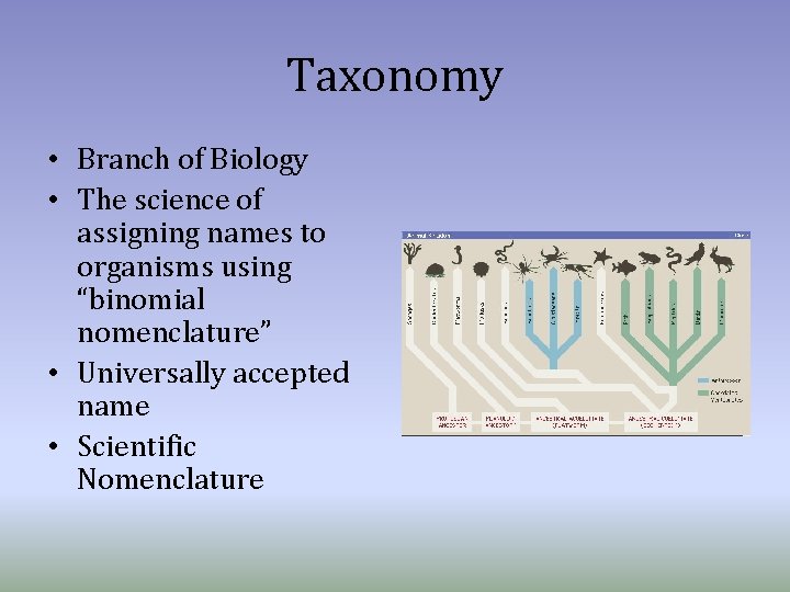Taxonomy • Branch of Biology • The science of assigning names to organisms using