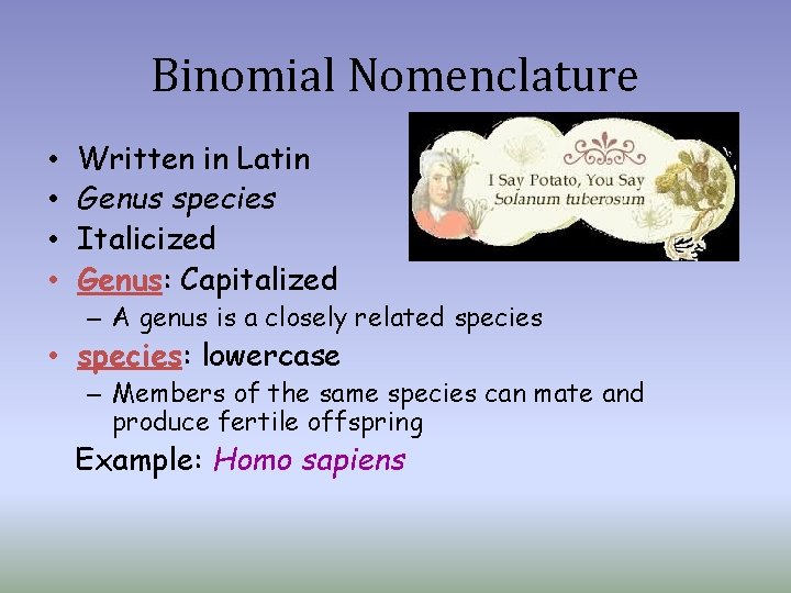 Binomial Nomenclature • • Written in Latin Genus species Italicized Genus: Capitalized – A