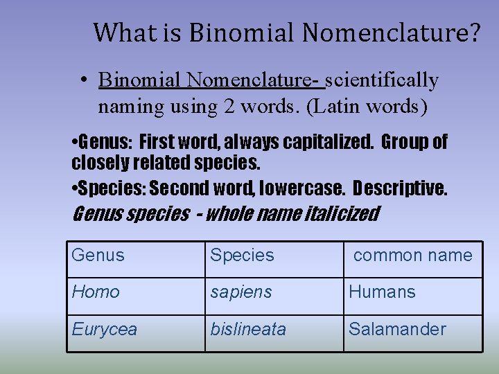 What is Binomial Nomenclature? • Binomial Nomenclature- scientifically naming using 2 words. (Latin words)