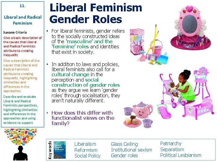 Liberal and Radical Feminism Success Criteria Give a basic description of the causes that
