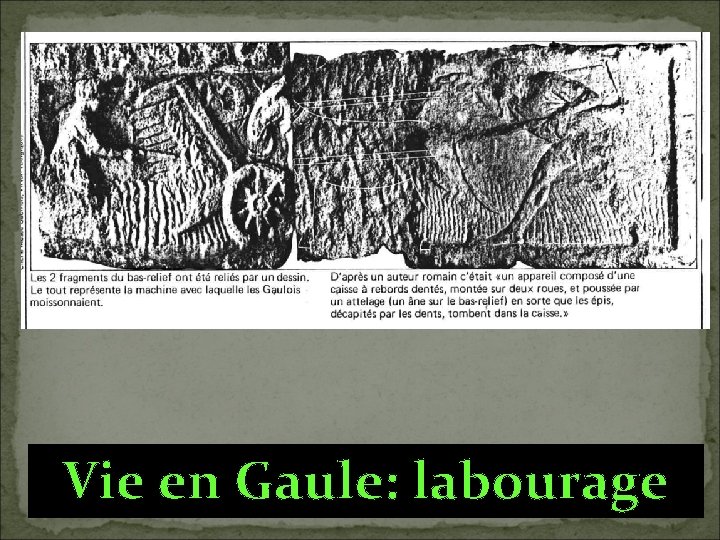 Vie en Gaule: labourage 