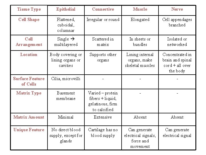 Tissue Type Epithelial Connective Muscle Nerve Cell Shape Flattened, cuboidal, columnar Irregular or round